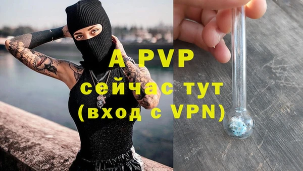 ALPHA PVP Беломорск